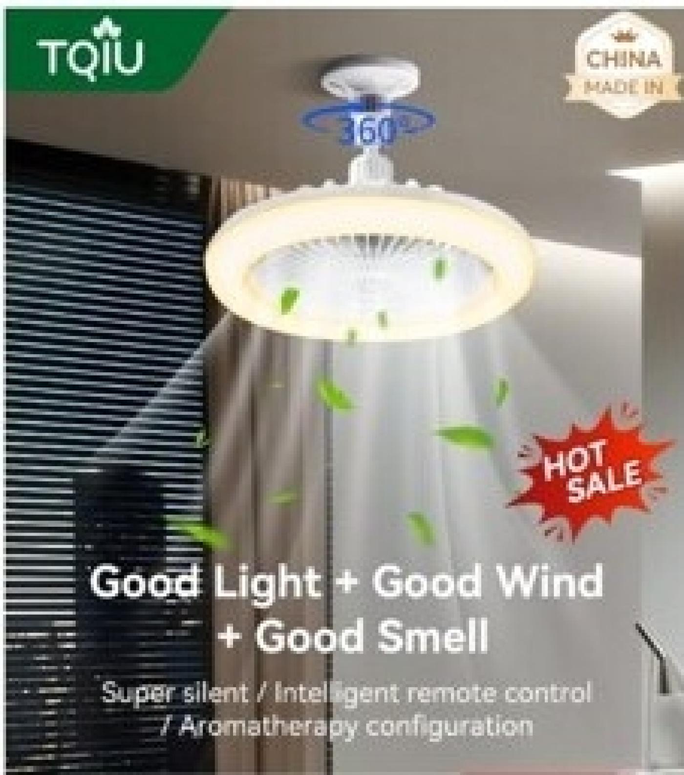 TQIU Fan Light