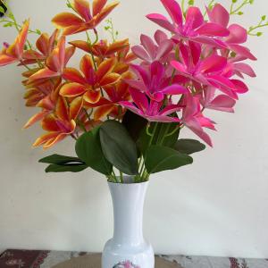 Orchid