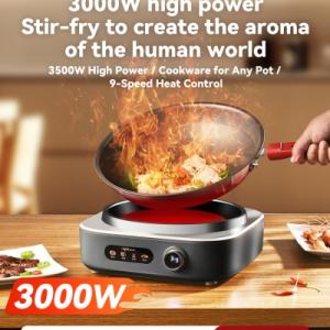 TQIU Infrared Cooker V3